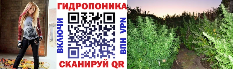 МАРИХУАНА ГИДРОПОН  ОМГ ОМГ как зайти  Домодедово 